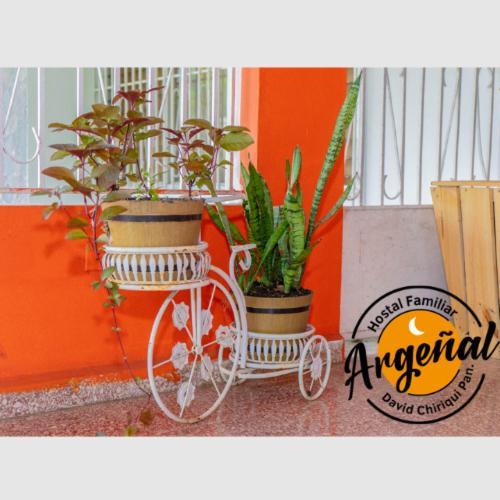 Hostal Familiar Argenal - David Bagian luar foto